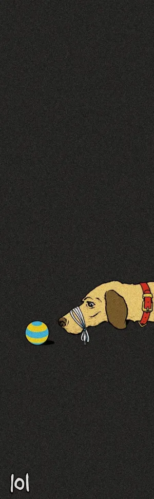 101 Dog Grip Tape 10" (Single Sheet)