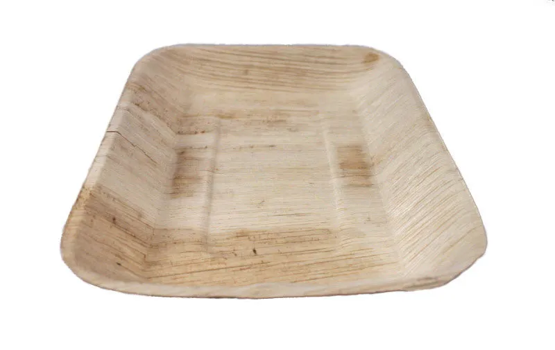 10" Rimmed Specialty Rectangle Festivalware Palm Plate (case)