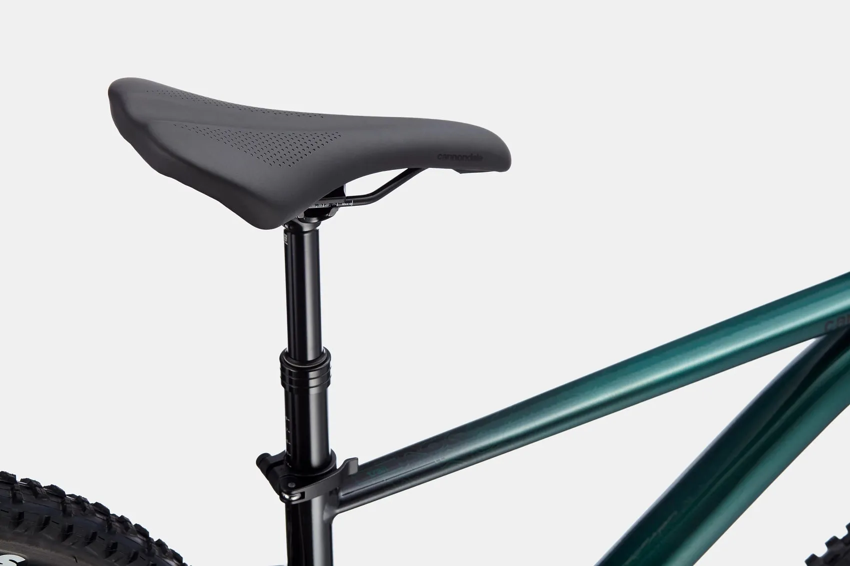 Cannondale Trail SE 2