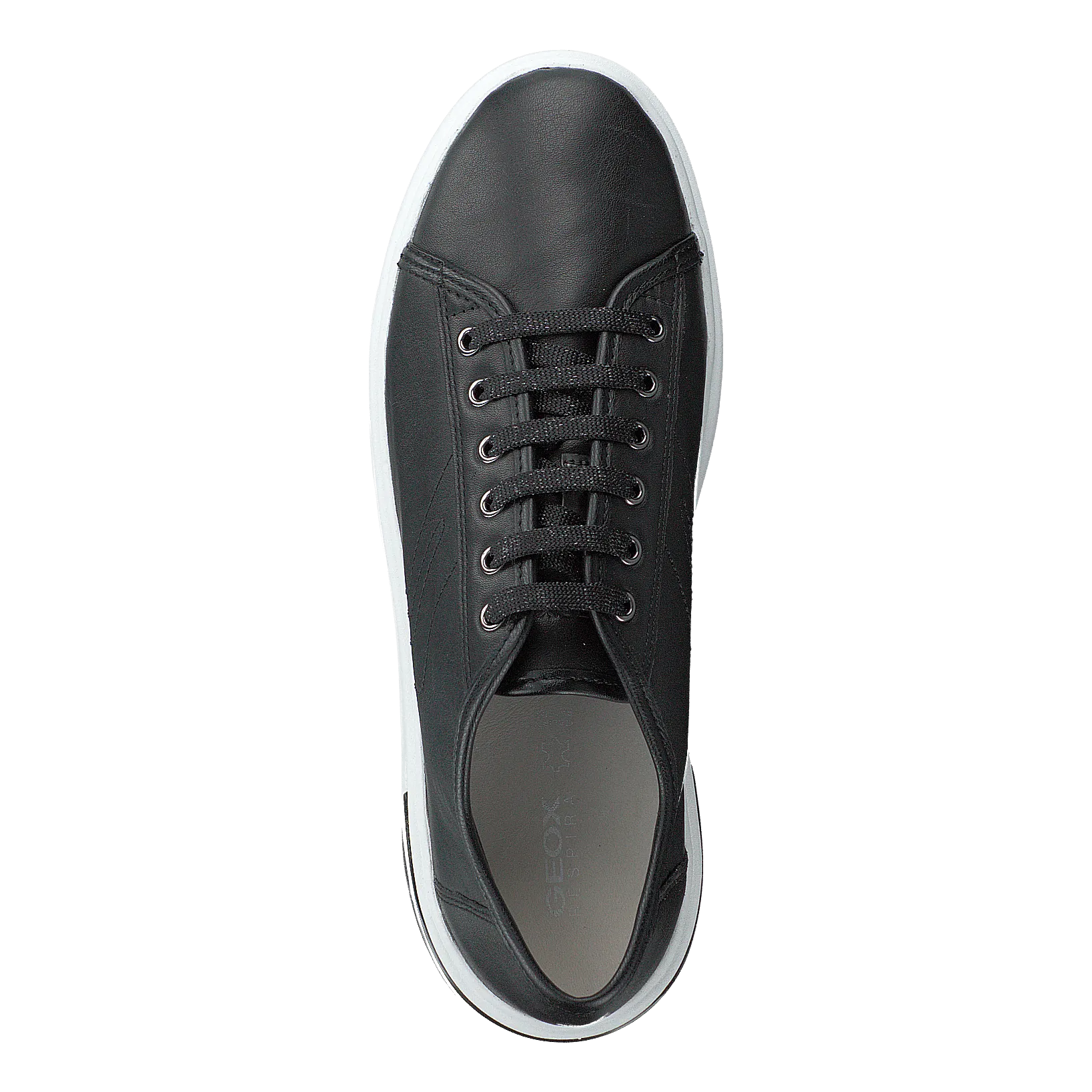D Ottaya Black