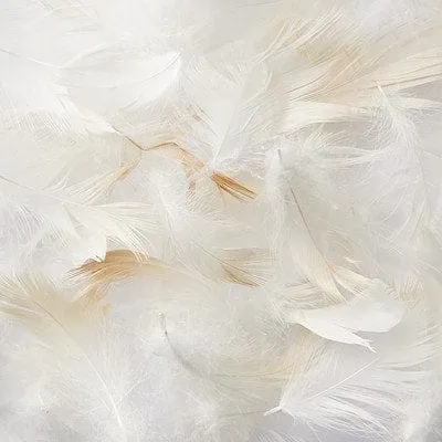 Duck Feather Scatter Cushion Inner 60x60 White