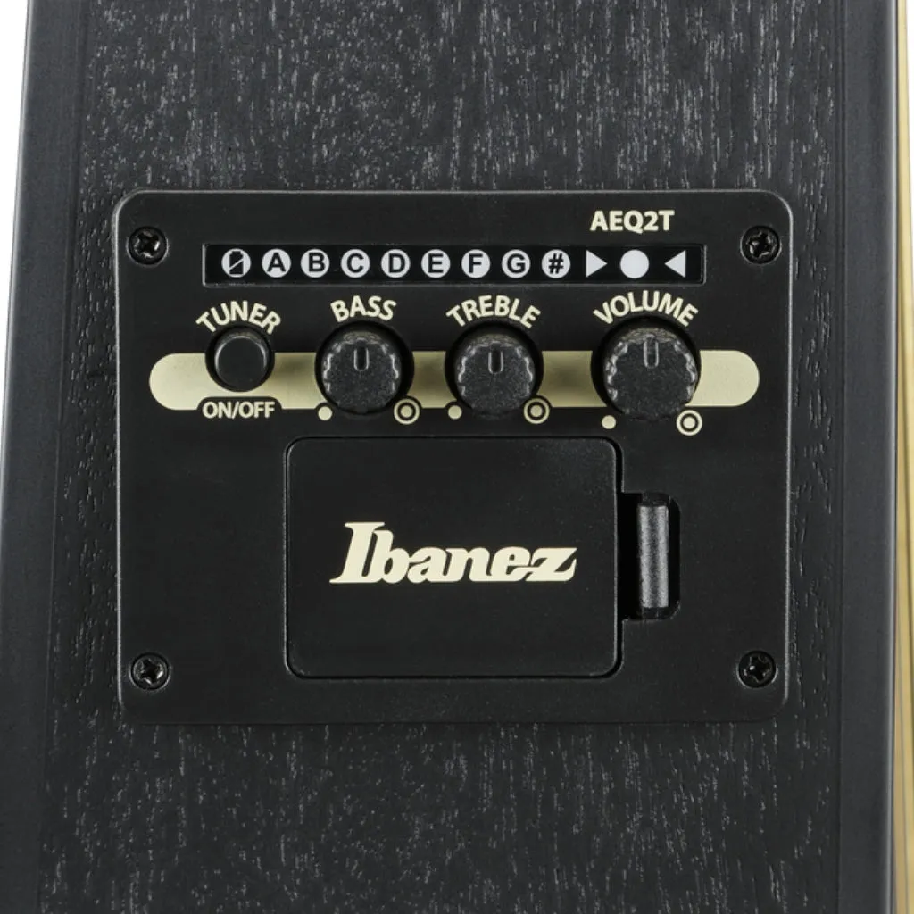Ibanez TCY621 Acoustic Guitar - Black Out