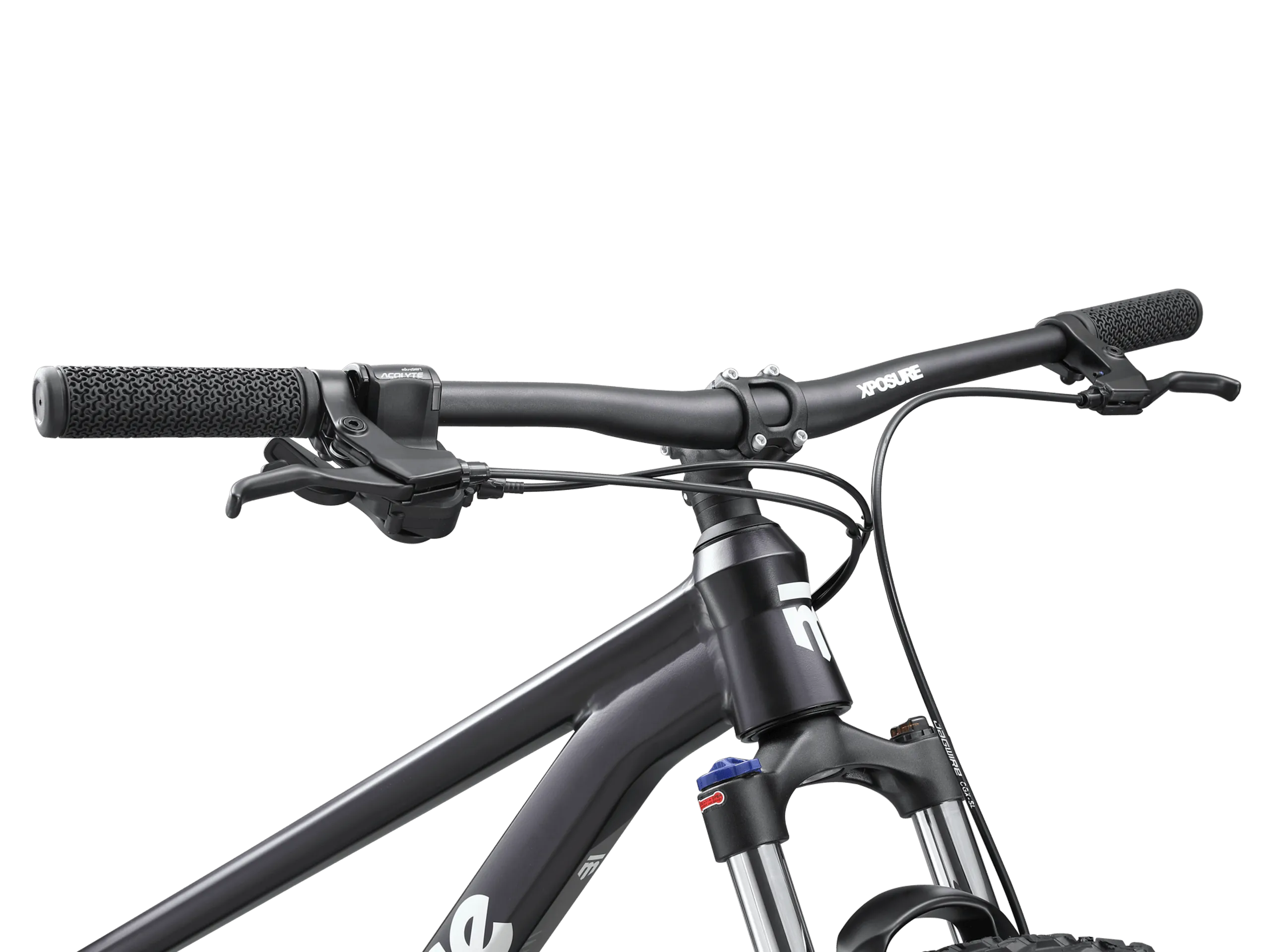 Switchback 1 - 29in