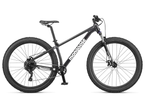 Switchback 1 - 29in