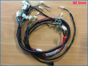 Wiring Harness Loom 200cc 250cc 300cc ATV Quad Go Cart